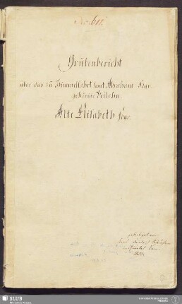 Grubenbericht über das zu Himmelfahrt samt Abraham Fdgr. gehörige Beilehn, Alte Elisabeth Fdgr. - 17.6517 4.