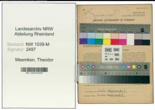 Entnazifizierung Theodor Meemken , geb. 24.04.1890 (Arzt)