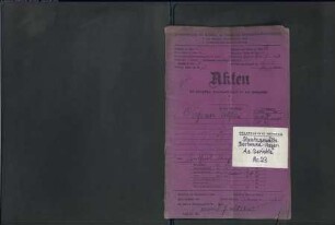 Angeklagter: Degener, Wilhelm: Landfriedensbruch (Plünderungen usw. in Hamm am 3.- 4.7.1919)