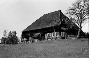 Altes Schwarzwaldhaus oberhalb der "Donauquelle"