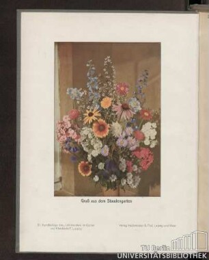 Gruß aus dem Staudengarten : 51. Kunstbeilage des "Lehrmeisters im Garten und Kleintierhof", Leipzig