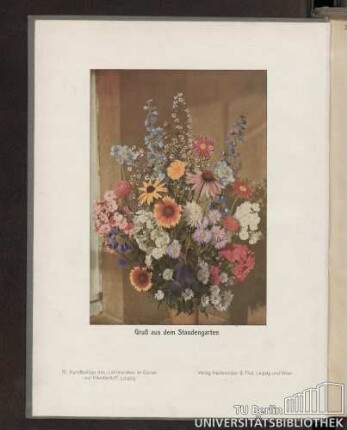 Gruß aus dem Staudengarten : 51. Kunstbeilage des "Lehrmeisters im Garten und Kleintierhof", Leipzig