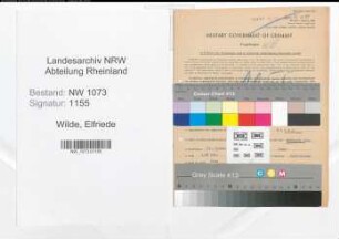 Entnazifizierung Elfriede Wilde , geb. 21.01.1906 (Buchhalterin)