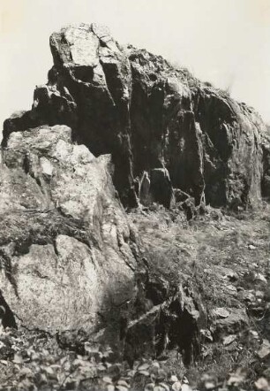 Gipfelklippen am Clantzschwitzer Steinberg. Liebschütz-Strehlaer Grauwackenzug. Andalusitglimmerfels