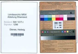 Entnazifizierung Hedwig Dienes , geb. 14.07.1899 (Einzelhaendlerin)