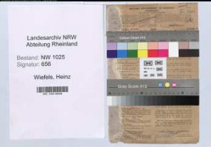 Entnazifizierung Heinz Wiefels , geb. 12.04.1910 (Jurist)