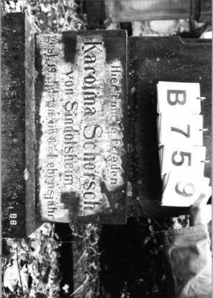 Grabstein 759 (Index: 99902091) Material: Sandstein Zustand: goldene Farbreste in Buchstaben Maße HxBxT: 180x52x25 cm: Grabstein 759B