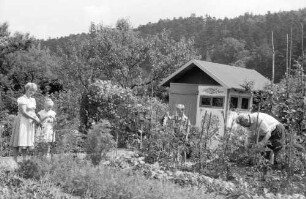 Freiburg: Familie arbeitet im Schrebergarten