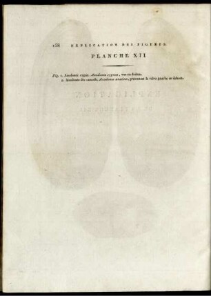 Explication des Figures. Planche XII.