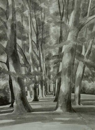 Linden-Allee