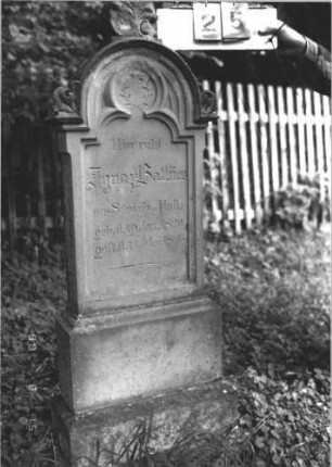 Grabstein 25 (Index: 100106724) Material: Sandstein Zustand: verwittert, Lettern in Gold nachgezogen Maße HxBxT: 155x49x16 cm Beschreibung: Stele, eingezogener Rundbogenabschluß mit Verdachung, Mittelpalmette, getreppter Sockel, Schriftfeld eingetieft in Sonderform Symbolik: floral: Grabstein 25