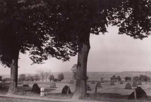 Pogeez im Naturpark Lauenburgische Seen. Landstraße (Alte Salzstraße?) am Ratzeburger See. Blick auf landwirtschaftliche Nutzfläche mit Strohfeimen