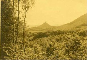 Rehberg