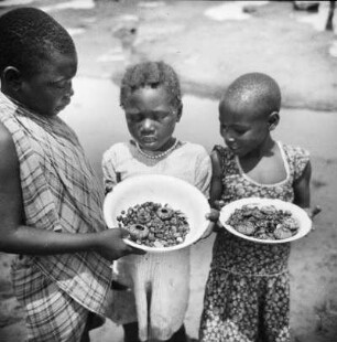 Kinderportrait : Kinder präsentieren ihre gesammelten Meeresfrüchte am Rio Mbini.