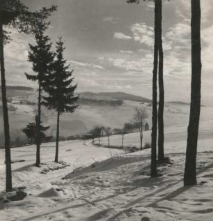 Vogtland. Blick auf Brunndöbra
