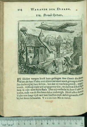124. De oude Oyevaer.