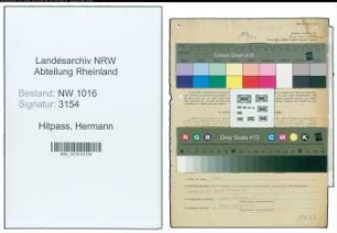 Entnazifizierung Hermann Hitpass , geb. 21.01.1909 (Handelsvertreter)