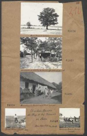 In Galizien und Rußland: Bauernhaus in Kreczewicze ö. Kowel 24.08.1916