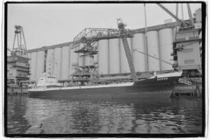 Nadine (1966), Dietmar Grothmann, St. Johns (Drochtersen)