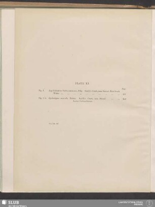 Plate XI.