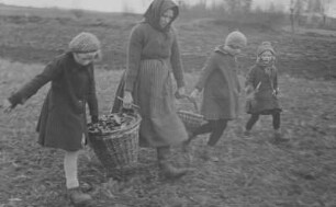 "Viele Steine gabs und wenig Brot" - Kleinbäuerin und Kinder beim Steine aufsammlen auf dem Feld : Kleinbäuerin und Kinder beim Steine aufsammlen auf dem Feld
