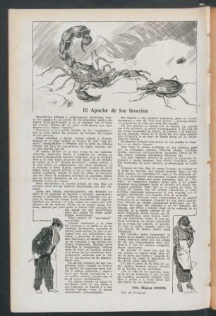 El apache de los insectos