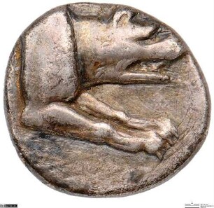 Argos