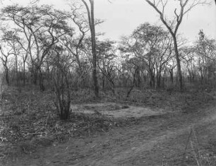 Grabstätte (Deutsch-Ostafrikaexpedition 1906-1907)