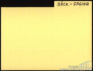 SÄCK.-SAGINA