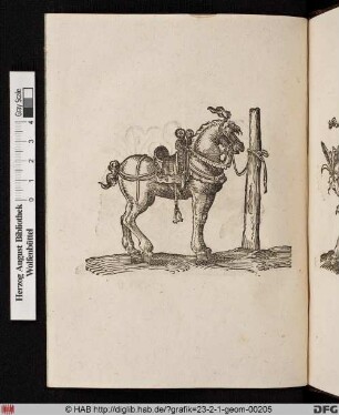 Pferd, an Pfahl angebunden