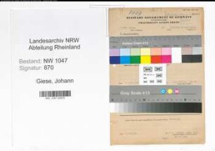 Entnazifizierung Johann Giese , geb. 04.02.1902 (Lehrer)