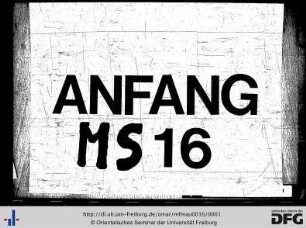 MF Mau 16