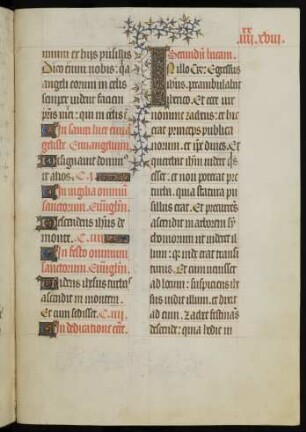 Dedicatio ecclesiae