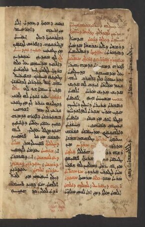 Ordo dierum simplicium totius anni