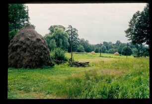 Spreewald 26.7.84.