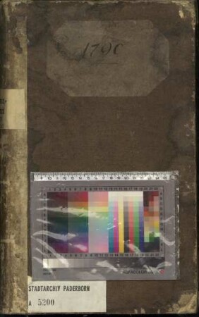Accisen-Journal 1790
