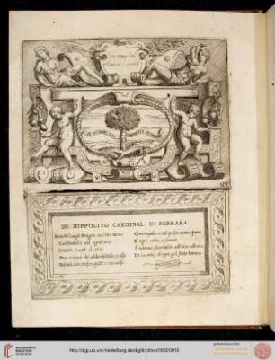 Nr. 7: Hippolito d’Este, Cardinal di Ferrara