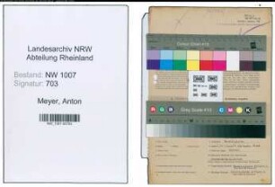 Entnazifizierung Anton Meyer , geb. 18.03.1892 (Holzhaendler)
