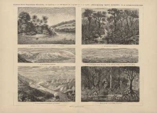 a. Finschhafen in Kaiser-Wilhelmsland (an der Nordostküste von Neuguinea)