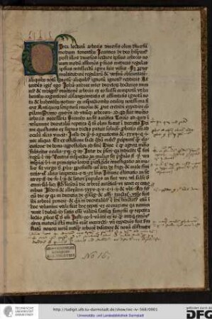Super arboribus consanguinitatis, affinitatis et cognationis spiritualis