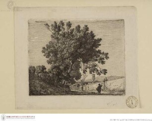 Baumgruppe neben Mauer und Kirchturm