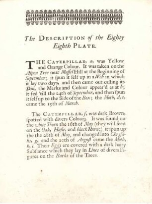 The Description of the Eighty Eighth Plate