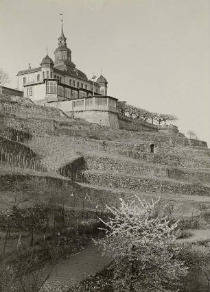 Radebeul. "Spitzhaus" : Radebeul. Gasthaus "Spitzhaus", Spitzhausstraße 36. Blick über die Terrassen des Weinberges