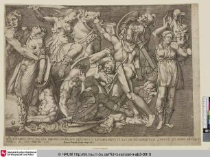 [Le combat des Amazones; Battle of the Amazons; Combattimento di Amazzoni; Amazonenschlacht]