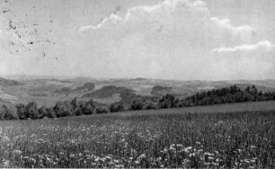 Geising. Geisingwiesen, Naturschutzgebiet, Ansichtskarte