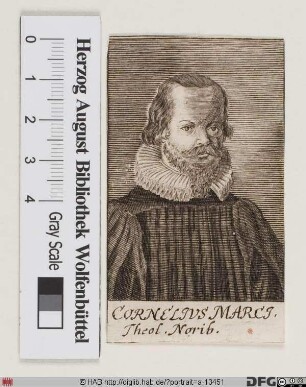 Bildnis Cornelius Marci d. Ä.
