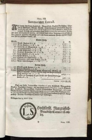 Num. VII. Summarischer Extract.