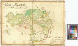 Kleinsmühl (Klensmühl), Koldenhof (Koldenhawe), Trittelwitz Amt/Distrikt Verchen