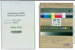 Entnazifizierung Erich Gross , geb. 03.03.1905 (Former)
