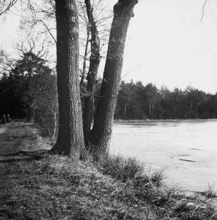 Weinböhla, Funkenteich : Weinböhla. Am Ufer des Funkenteich